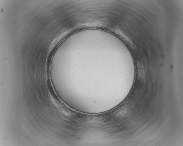 X0000071840486200607290111