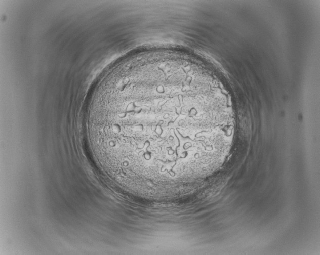 X0000071840487200607290111