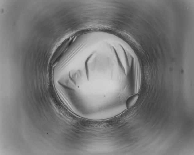 X0000071840488200607290111