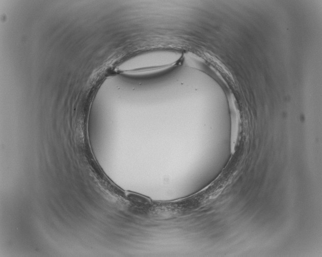 X0000071840489200607290111