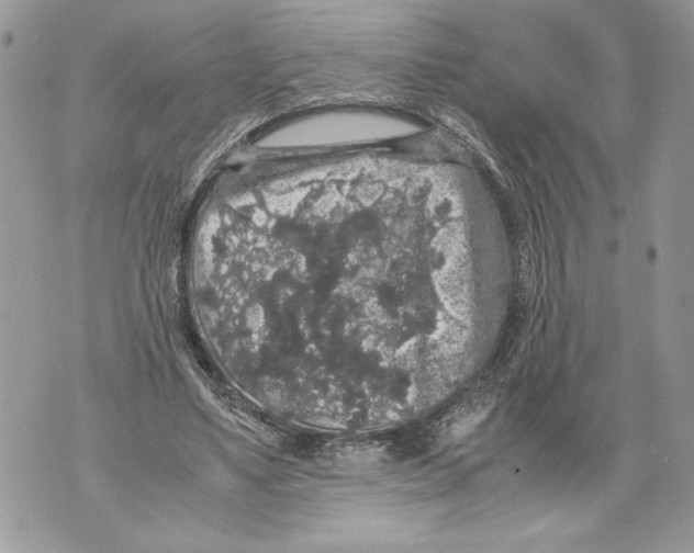 X0000071840491200607290111