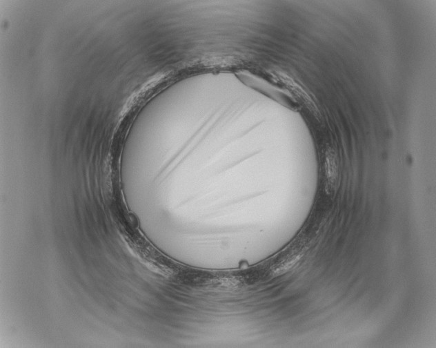 X0000071840492200607290111