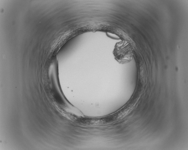 X0000071840493200607290111