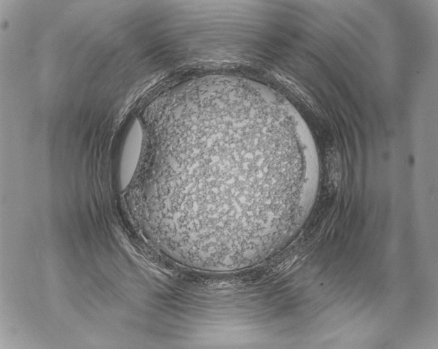 X0000071840494200607290111