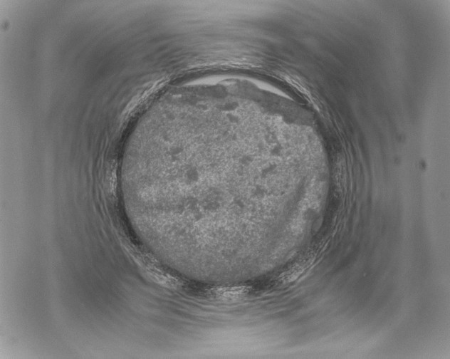 X0000071840495200607290111