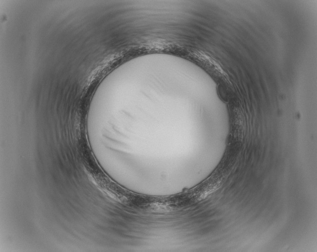 X0000071840496200607290111