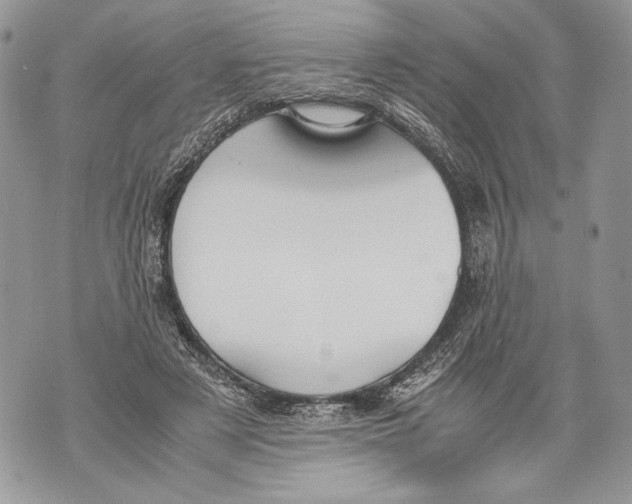 X0000071840497200607290111