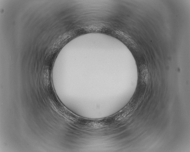 X0000071840498200607290111