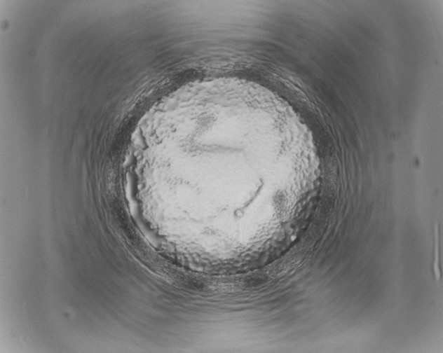 X0000071840499200607290111