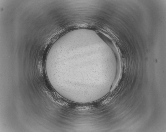 X0000071840500200607290111