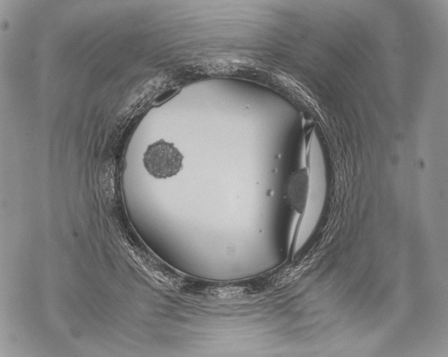 X0000071840501200607290111