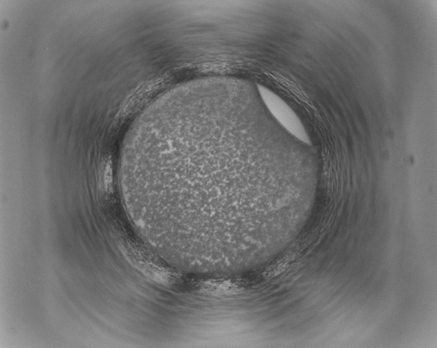 X0000071840502200607290111