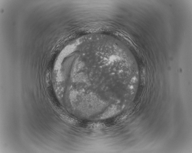 X0000071840503200607290111