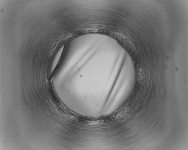 X0000071840504200607290111