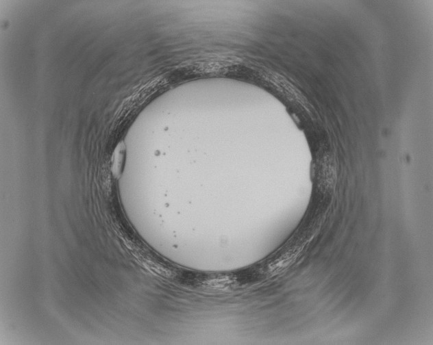 X0000071840505200607290111