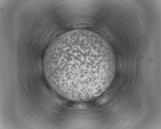 X0000071840506200607290111