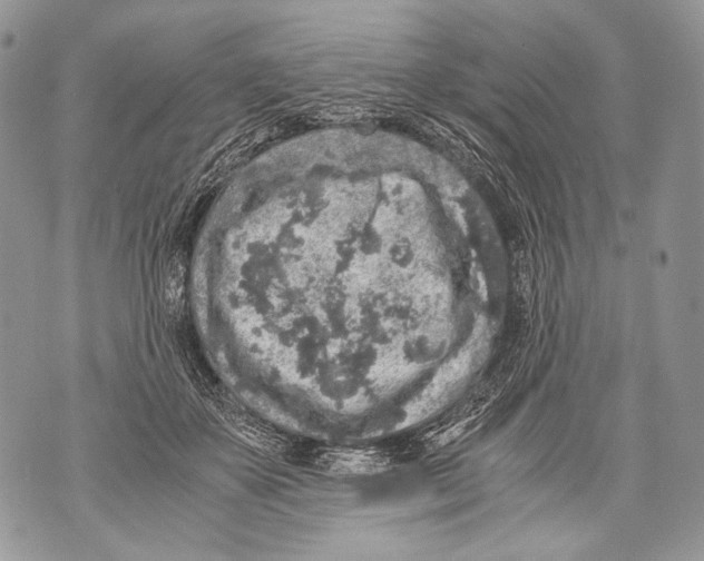 X0000071840507200607290111