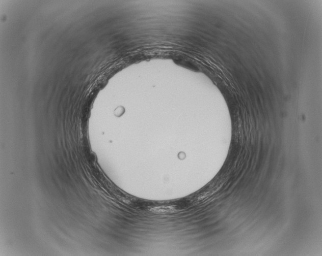 X0000071840508200607290111