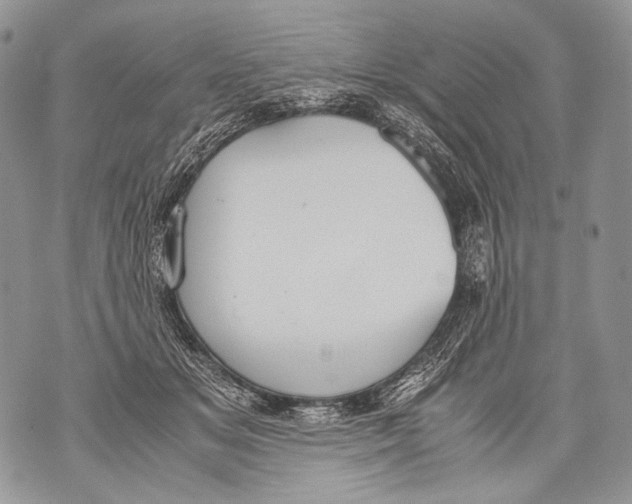 X0000071840509200607290111