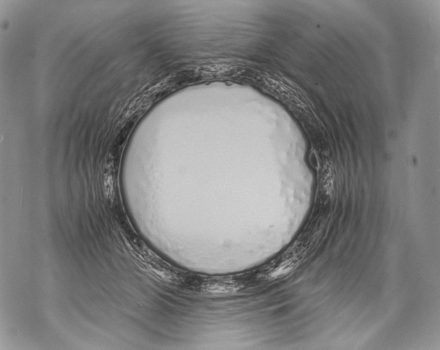 X0000071840510200607290111