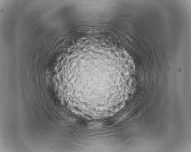 X0000071840511200607290111