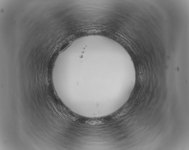 X0000071840512200607290111