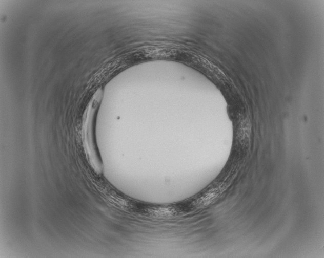 X0000071840513200607290111