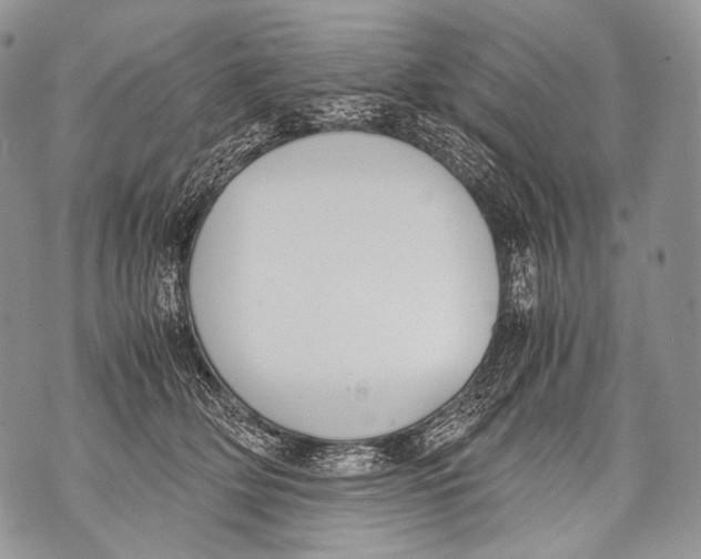 X0000071840514200607290111