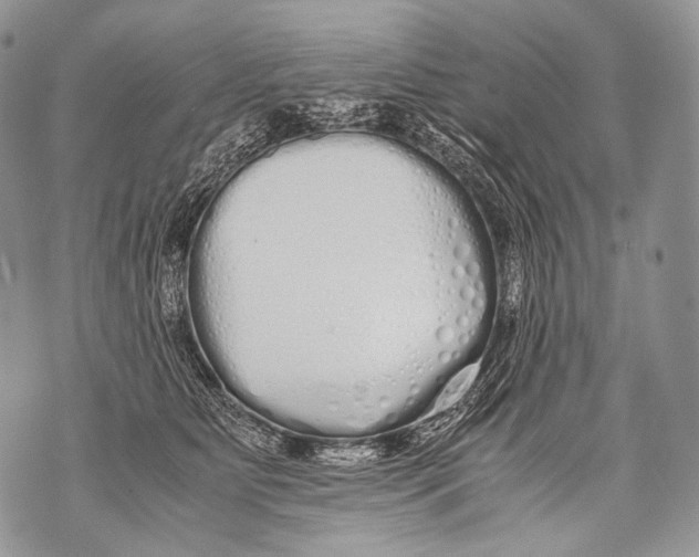 X0000071840515200607290111