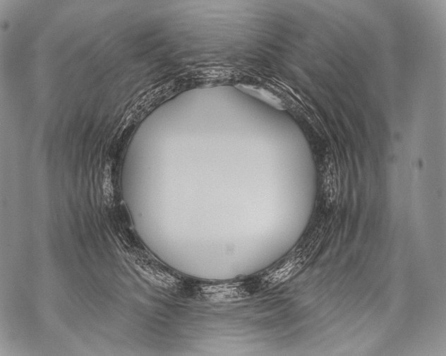 X0000071840516200607290111