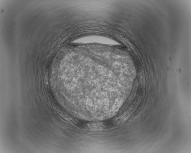 X0000071840517200607290111