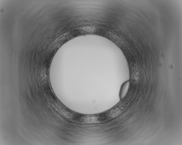 X0000071840518200607290111