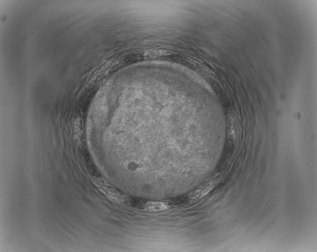 X0000071840519200607290111