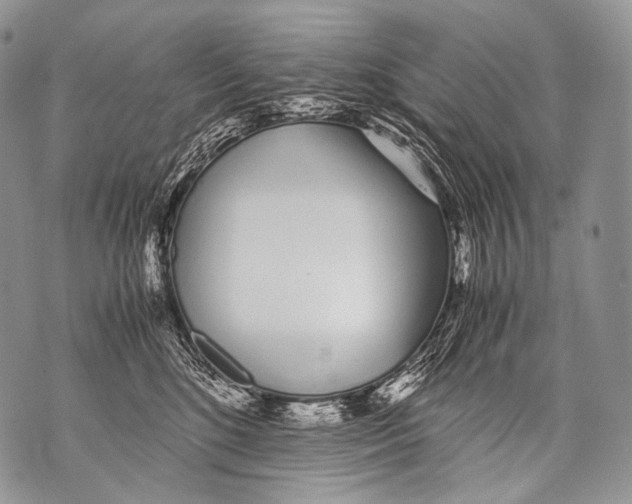 X0000071840520200607290111