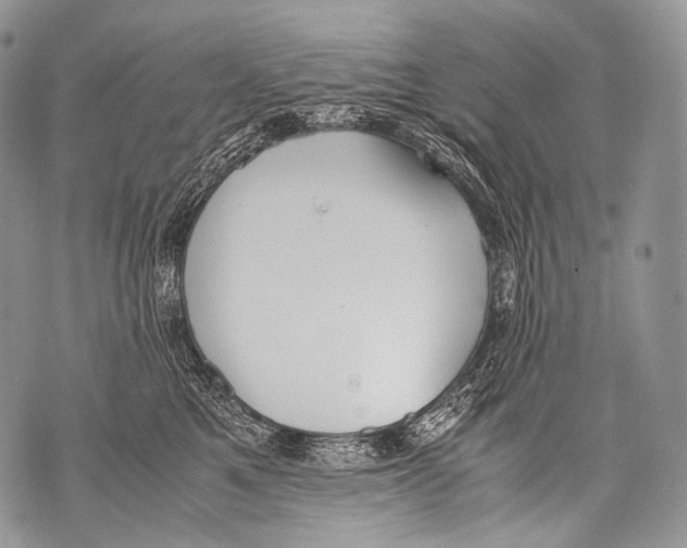 X0000071840521200607290111