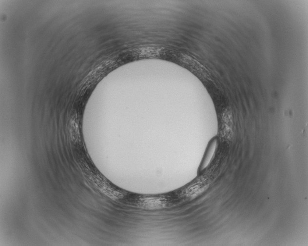 X0000071840522200607290111