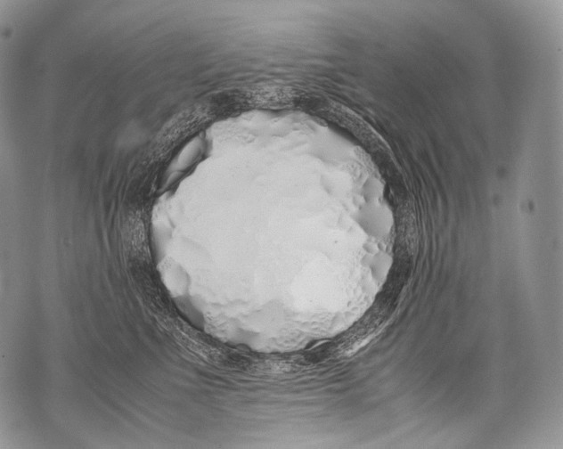 X0000071840523200607290111