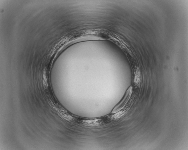 X0000071840524200607290110