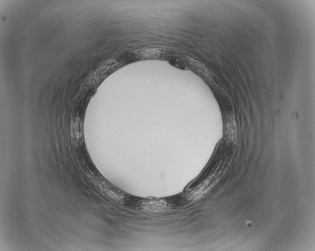 X0000071840525200607290110