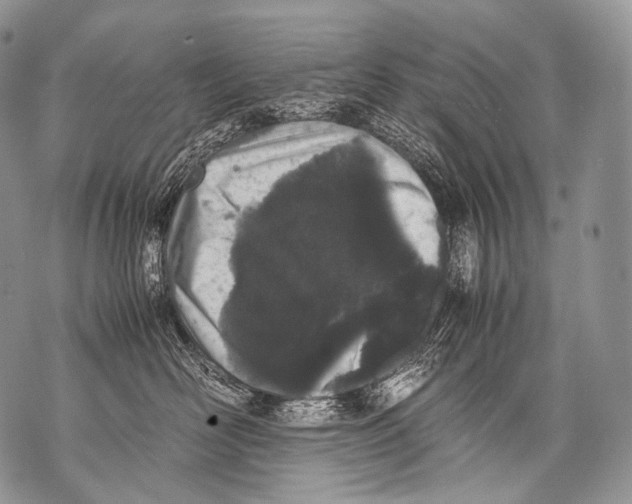 X0000071840526200607290110