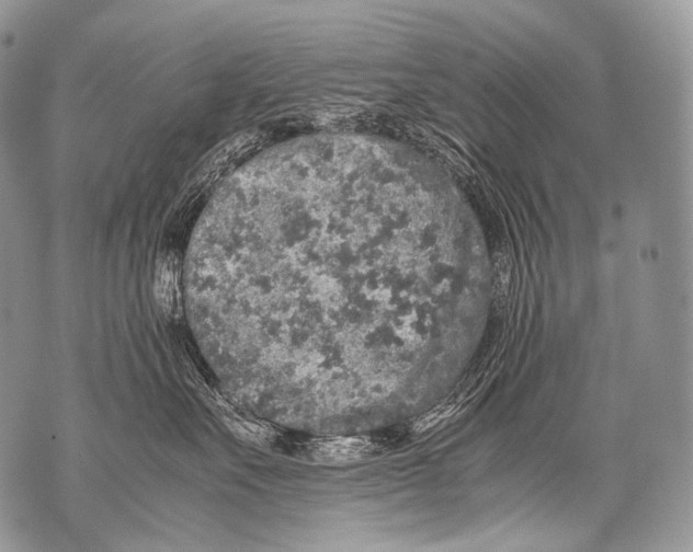 X0000071840527200607290110