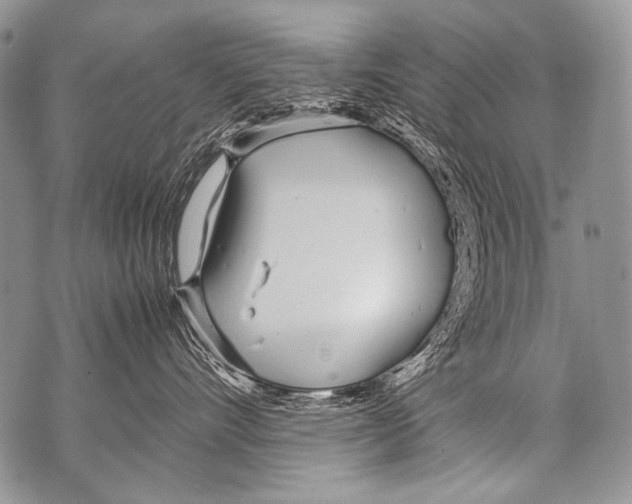 X0000071840528200607290110