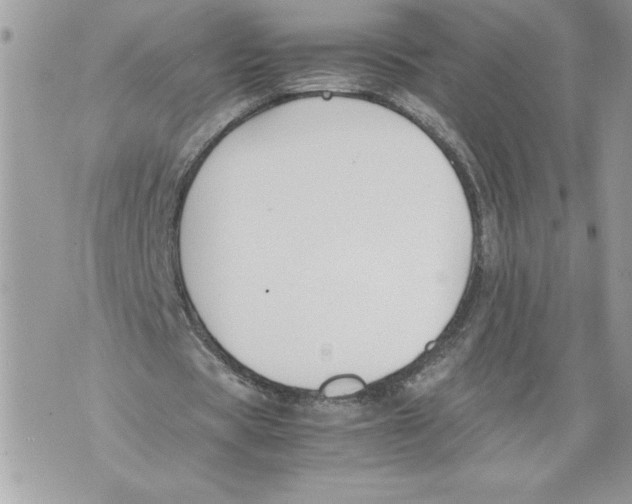 X0000071840529200607290110