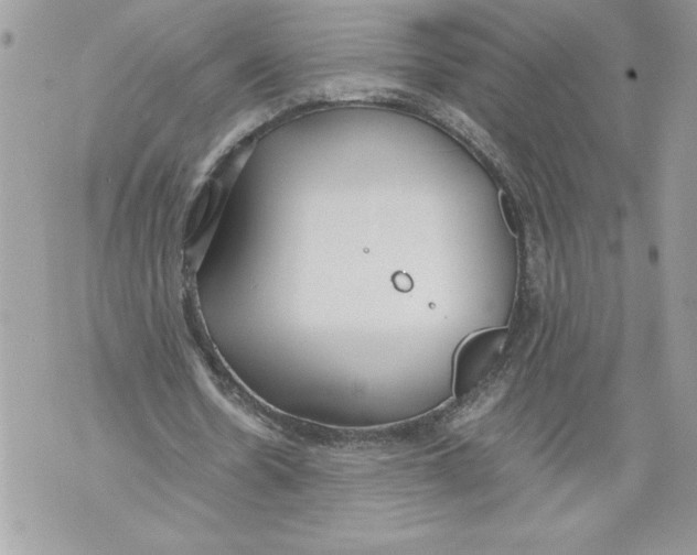 X0000071840530200607290110