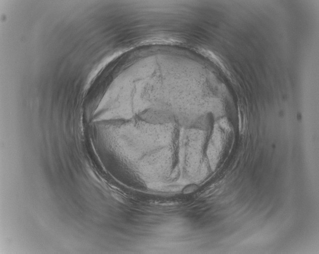 X0000071840531200607290110