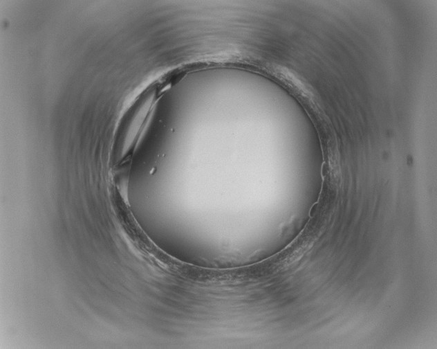 X0000071840532200607290110