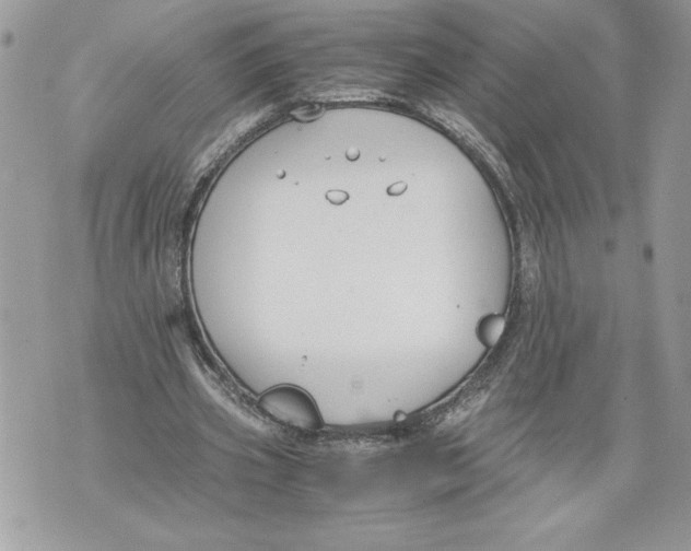 X0000071840533200607290110