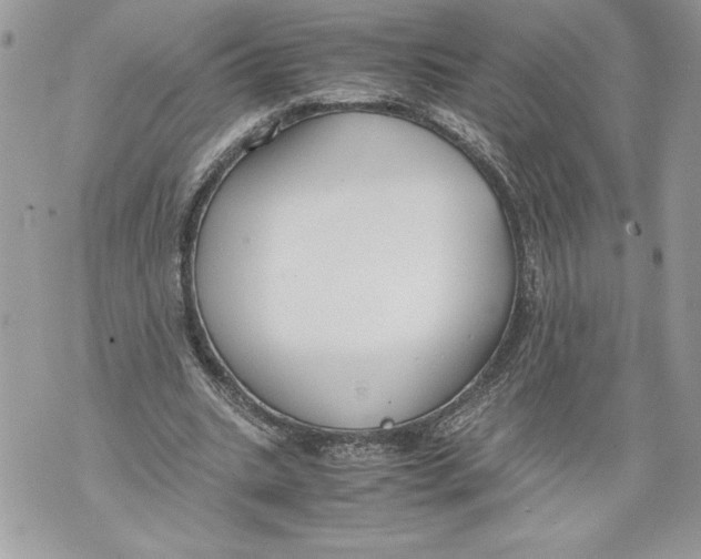 X0000071840535200607290110