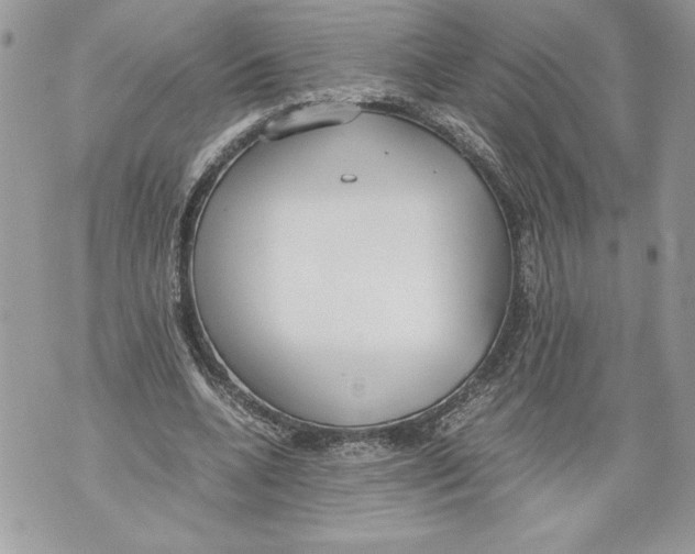 X0000071840536200607290110