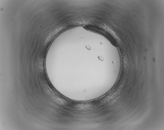 X0000071840537200607290110